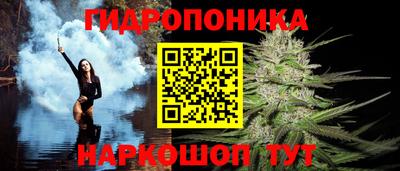 тгк Кимры