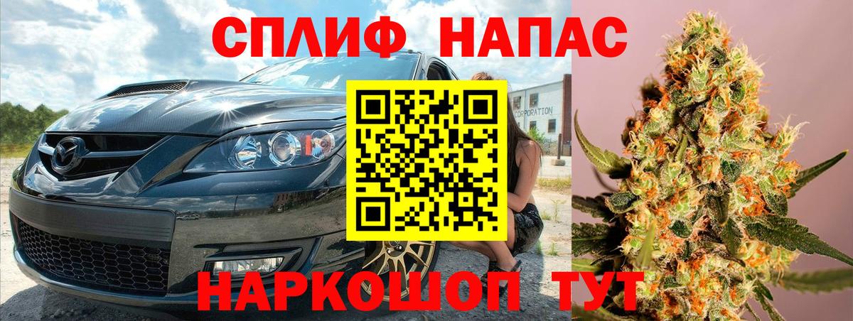 Бошки марихуана планчик  Бошки марихуана White Widow  Конаково  Конопля Ganja  Марихуана конопля  Вход с VPN 
